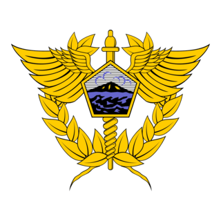 Logo Beacukai Buton Selatan